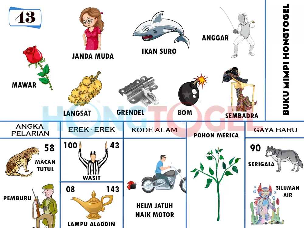 buku mimpi erek erek togel 43